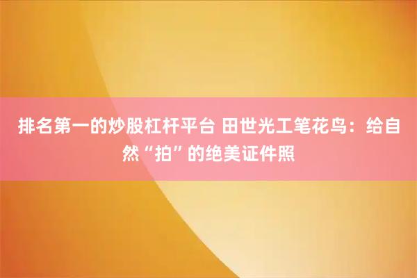 排名第一的炒股杠杆平台 田世光工笔花鸟：给自然“拍”的绝美证件照
