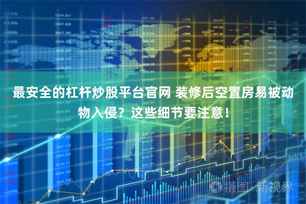 最安全的杠杆炒股平台官网 装修后空置房易被动物入侵？这些细节要注意！